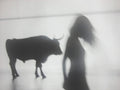 Metamorphosis